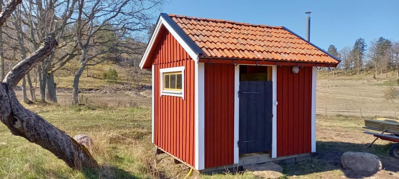 Sankt Anna Bed And Boat, Bed & Breakfast Bagian luar foto