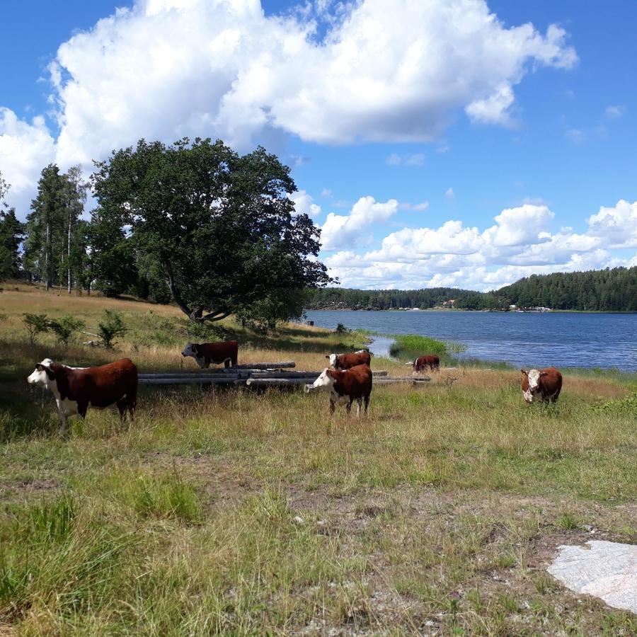 Sankt Anna Bed And Boat, Bed & Breakfast Bagian luar foto